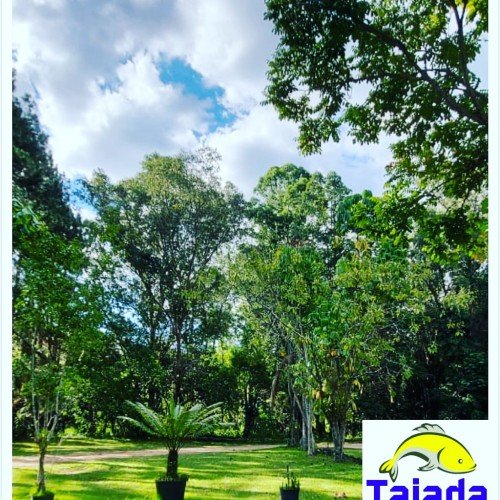 Restaurante do Taiada
