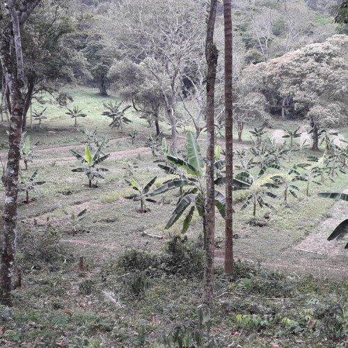 Quinta dos Tukanos