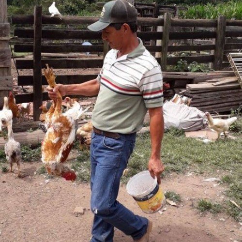 Fazenda Vargem do Lírio
