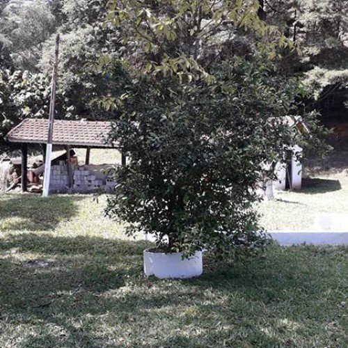 Sítio do Pascoal